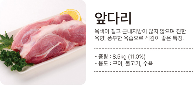 앞다리