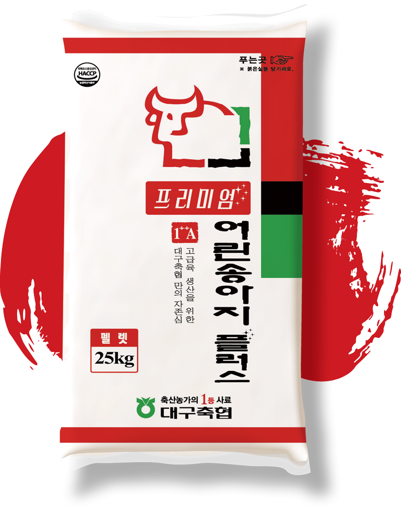 어린송아지 플러스