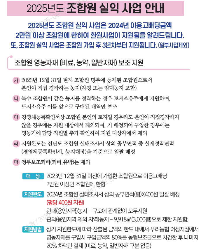 기본이미지