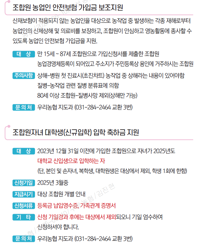 기본이미지