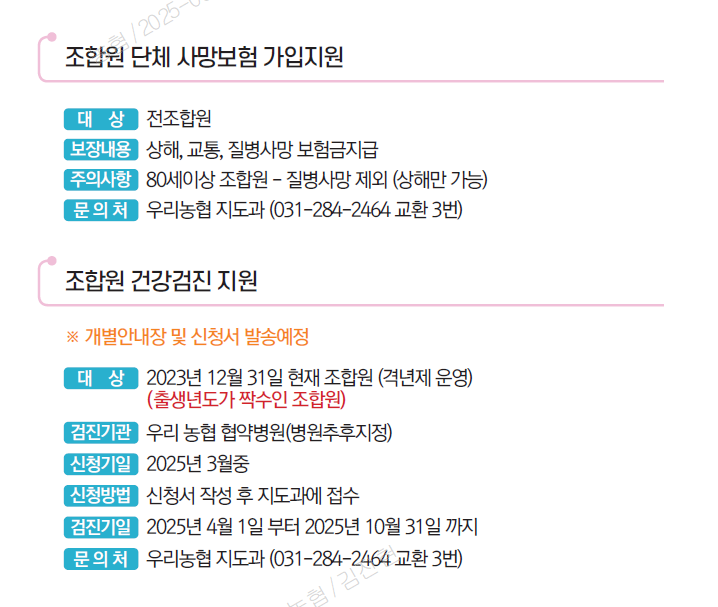기본이미지