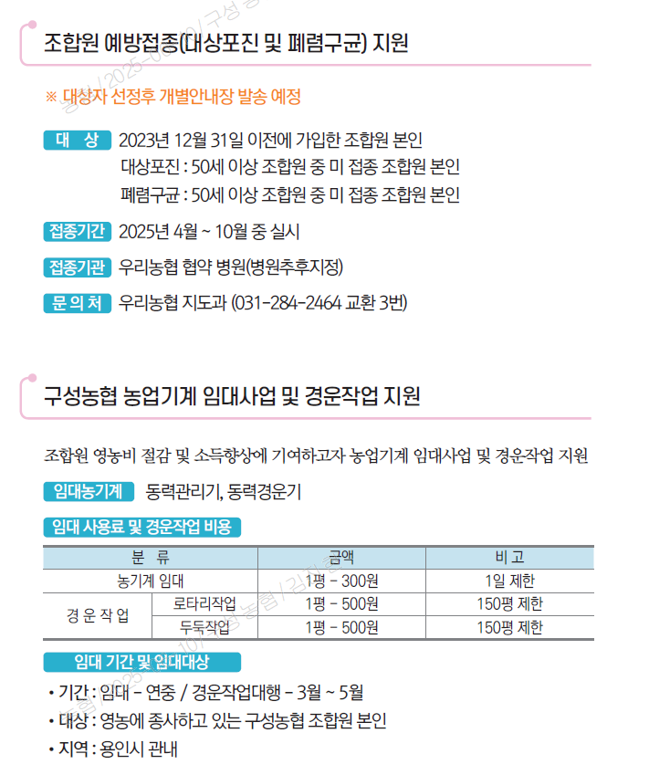 기본이미지