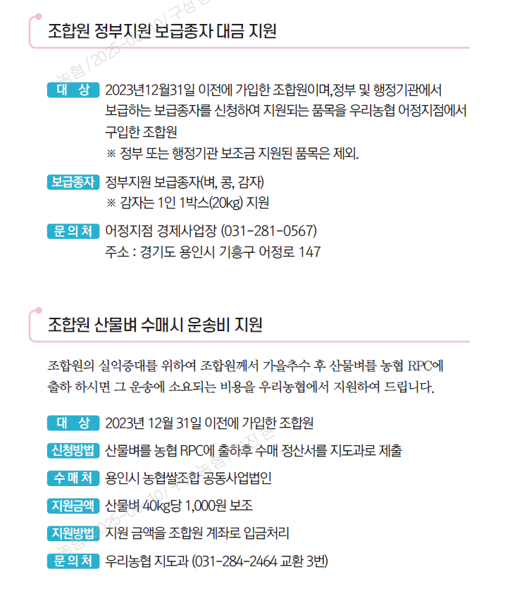 기본이미지