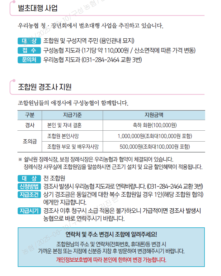 기본이미지