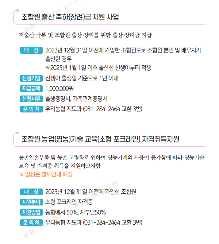 기본이미지