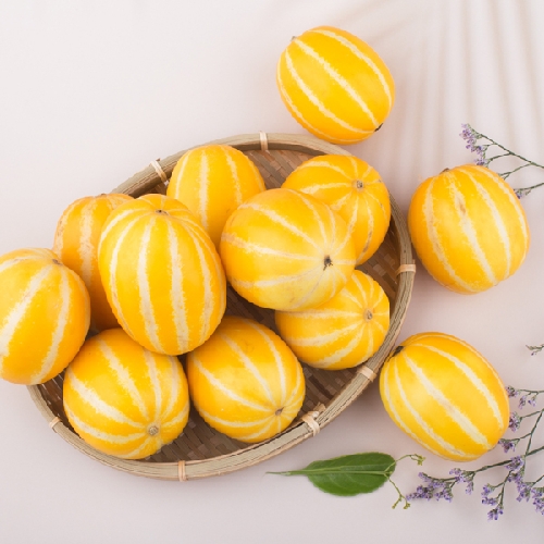 아삭아삭 고당도 꿀 참외 3kg 상품이미지