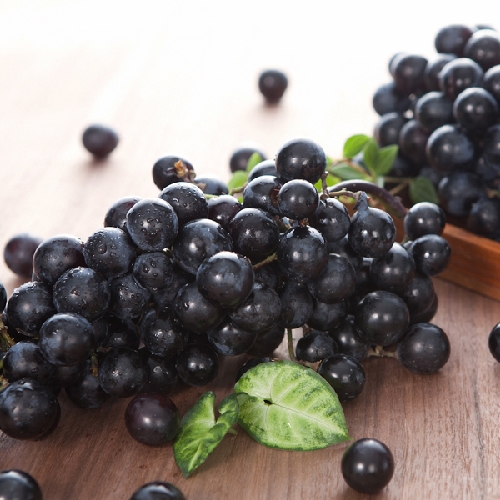 프리미엄 특품 영동 캠벨포도 3kg 상품이미지