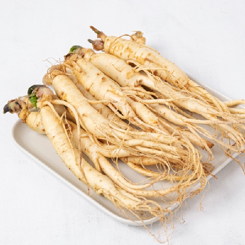 농협인삼 500g 20뿌리 상품이미지