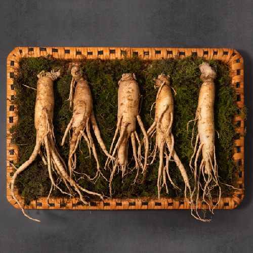 농협 인삼 선물세트 1호 상품이미지