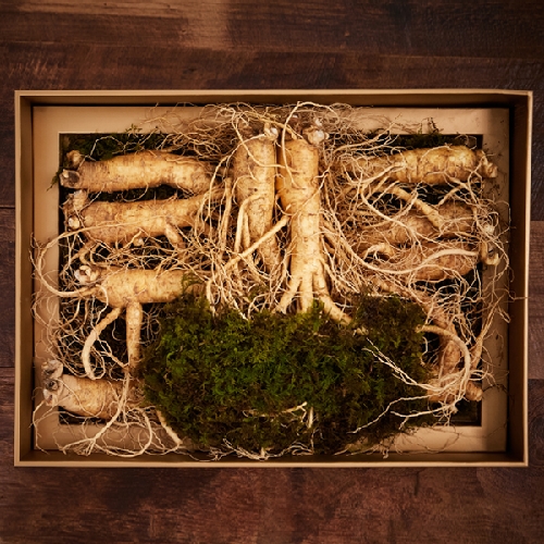 농협인삼 명품 6년근 선물세트 2호 상품이미지