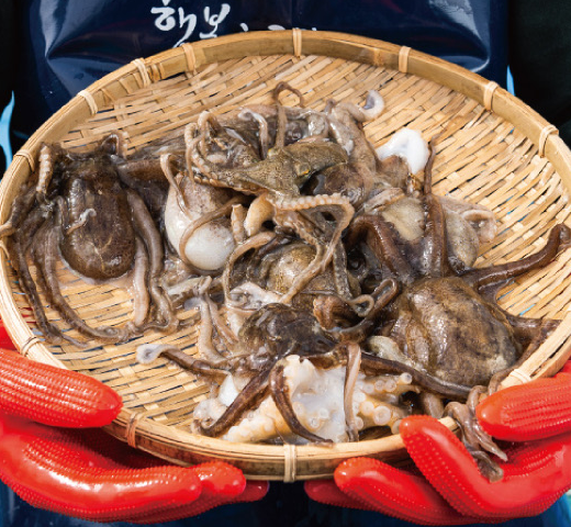 제철이라 완전 꿀맛! 쭈꾸미