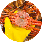 배너아이콘