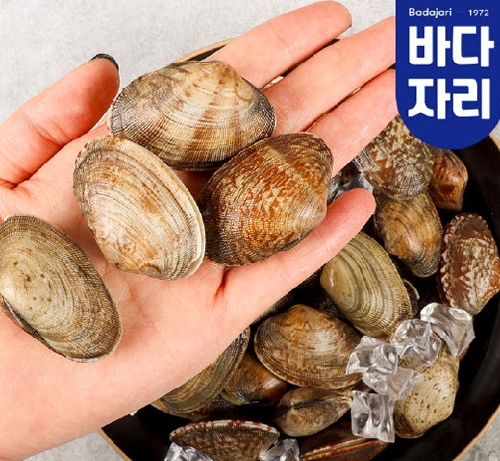 당일어획 남해안 다이버 왕바지락 1kg 상품이미지