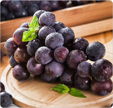 농협 명품 포도