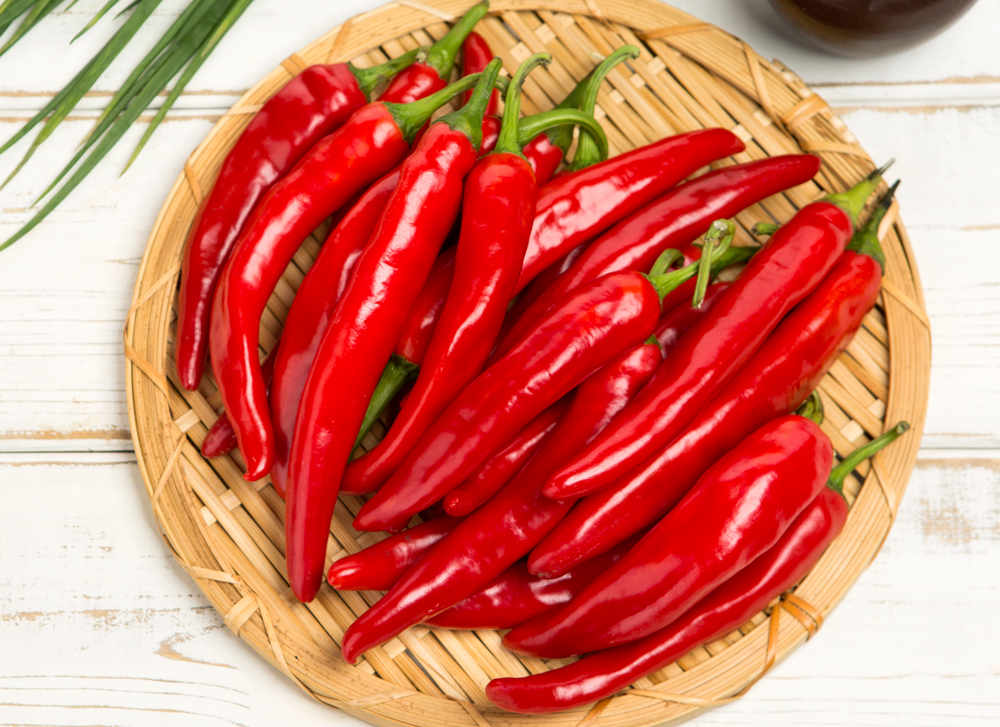 청송 홍고추를 먹어보셨나요? 새빨간 경북 청송 홍고추를 맛보세요! 대표이미지