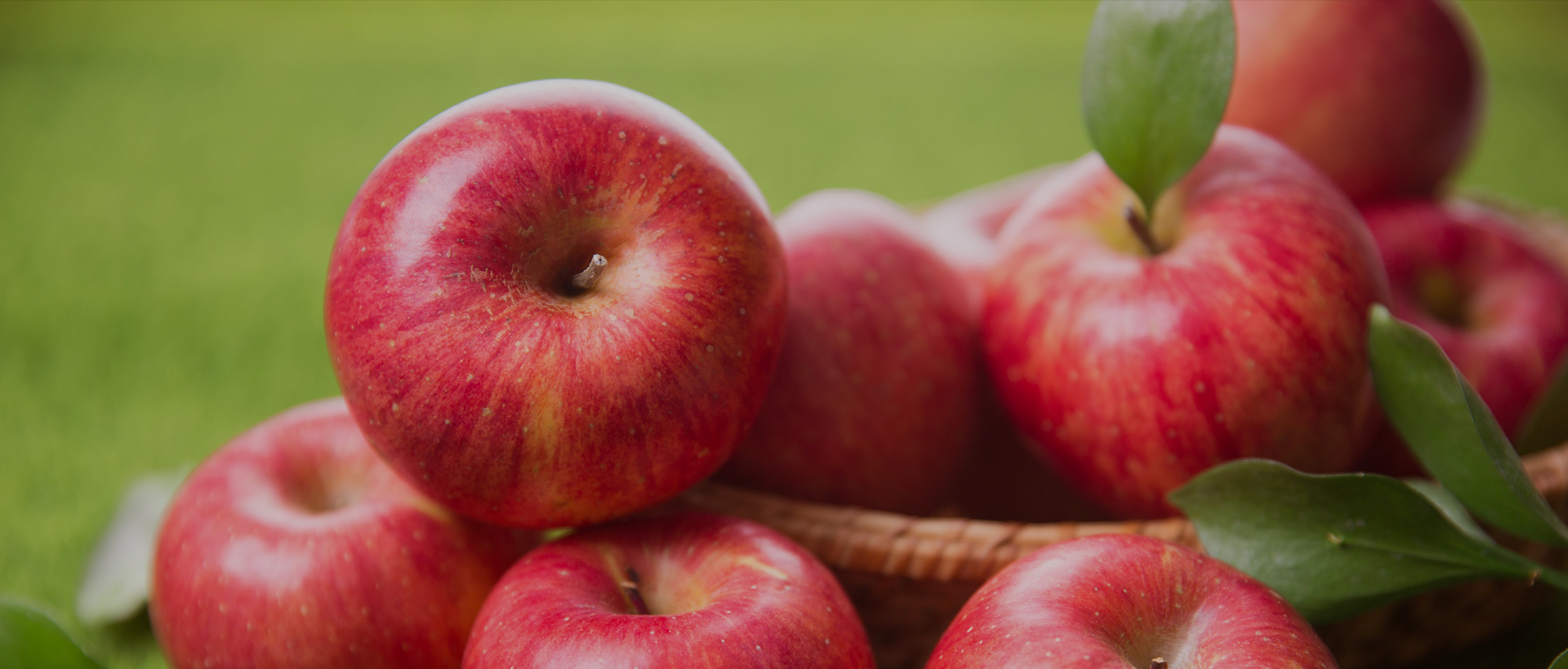 NH농협은 조합원 여러분의 편안한 생활과 나눔이 있는 뜻깊은 사회활동을 통하여 여러분의 미래를 향해 함께 나아갑니다.