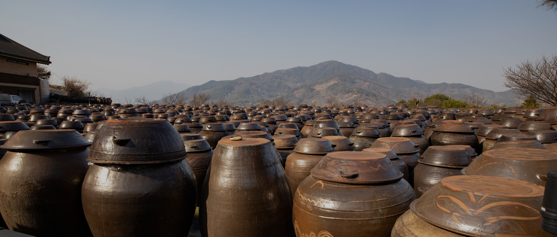 NH농협은 조합원 여러분의 편안한 생활과 나눔이 있는 뜻깊은 사회활동을 통하여 여러분의 미래를 향해 함께 나아갑니다.