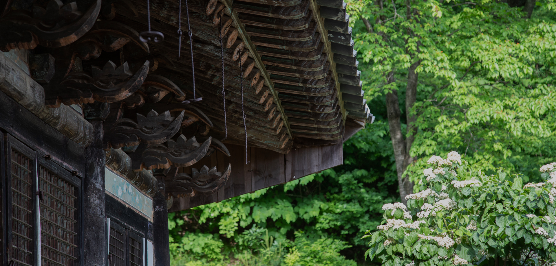 NH농협은 조합원 여러분의 편안한 생활과 나눔이 있는 <br />뜻깊은 사회활동을 통하여 여러분의 미래를 향해 함께 나아갑니다.