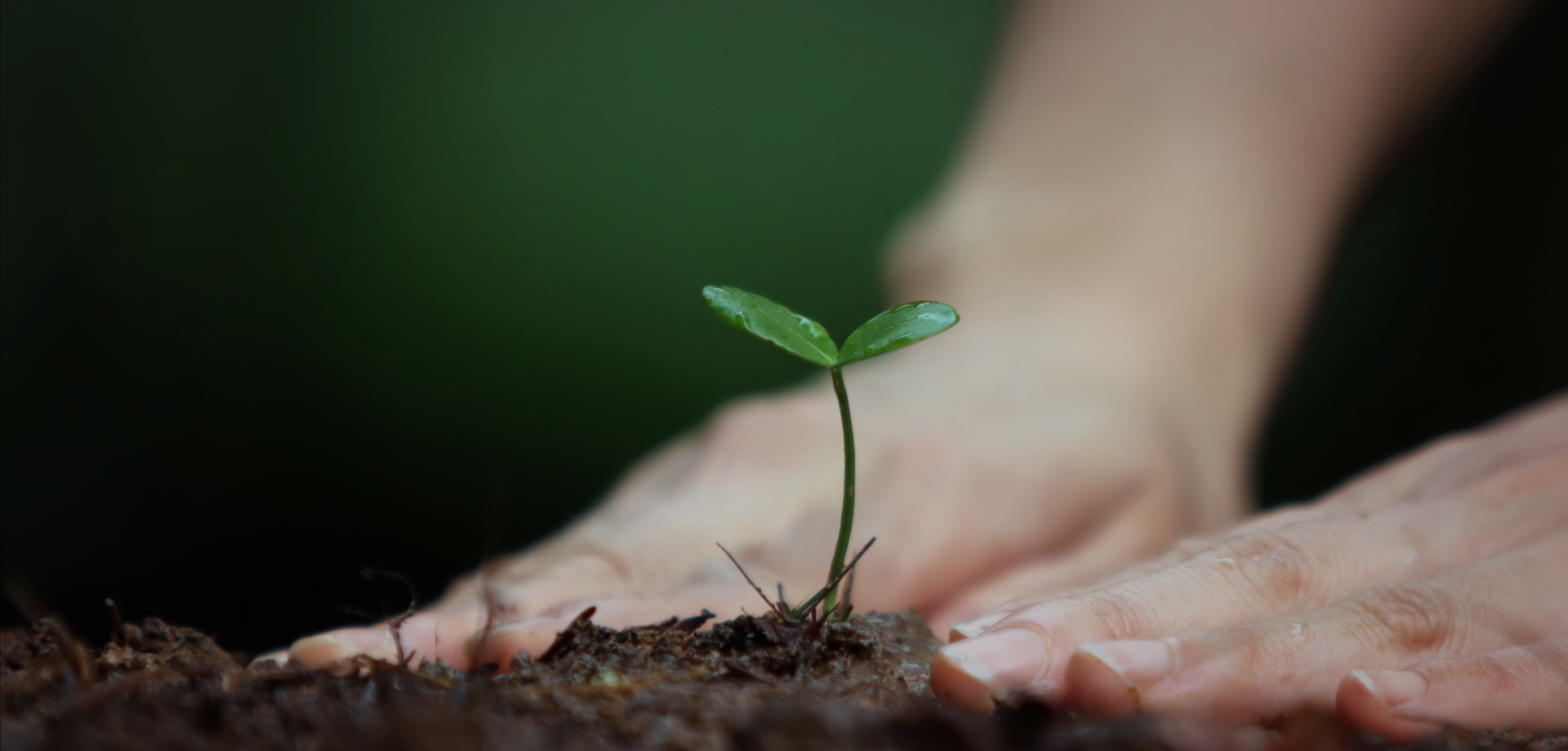 NH농협은 조합원 여러분의 편안한 생활과 나눔이 있는 <br />뜻깊은 사회활동을 통하여 여러분의 미래를 향해 함께 나아갑니다.